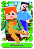 Nummer 073 I Team Alex und Steve I LEGO Minecraft TCC 1 Nummer 073 I Team Alex und Steve I LEGO Minecraft TCC 1
