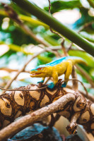 Krokodile-Sammelserie PLANET WOW Carnufex Krokodile-Sammelserie PLANET WOW Carnufex