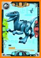 Nummer 059 I DNA Charlie Nummer 059 I DNA Charlie