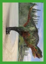 Nummer 165 I DINOSAURIER-Stickerserie