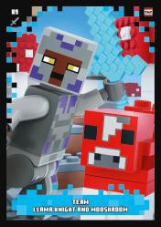 Nummer 089 I Team Llama Knight and Mooshroom
