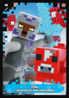 Nummer 089 I Team Llama Knight and Mooshroom Nummer 089 I Team Llama Knight and Mooshroom