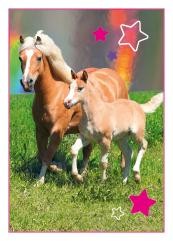 Horse Club Sticker Nummer 163