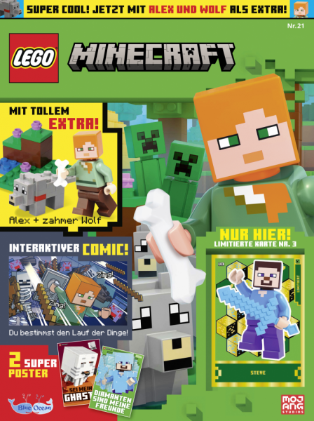 LEGO Minecraft 21/24