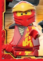 Nummer 250 | Puzzle Legacy 7 Nummer 250 | Puzzle Legacy 7