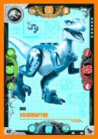 Nummer 042 I DNA Velociraptor Nummer 042 I DNA Velociraptor