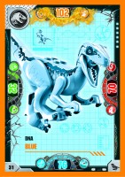 Nummer 031 I DNA Blue Nummer 031 I DNA Blue