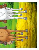 Bibi & Tina Nummer 198 Bibi & Tina Nummer 198