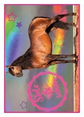 Horse Club Sticker Nummer 10