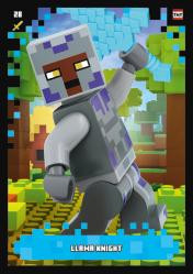 Nummer 028 I Llama Knight