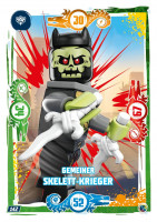 Nummer 142 I Gemeiner Skelett-Krieger I LEGO Ninjago TCG 9 Nummer 142 I Gemeiner Skelett-Krieger I LEGO Ninjago TCG 9