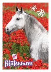 Horse Club Sticker Nummer 75
