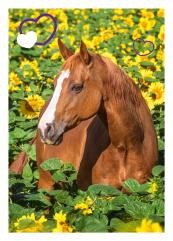 Horse Club Sticker Nummer 135