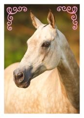 Horse Club Sticker Nummer 38