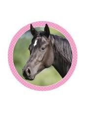 Horse Club Sticker Nummer 98