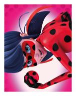 Miraculous Sticker Nummer 027 Miraculous Sticker Nummer 027