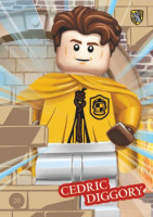 Karte Nummer 020 I Harry Potter Sticker & Trading Card Serie2 Karte Nummer 020 I Harry Potter Sticker & Trading Card Serie2