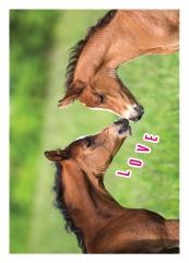 Horse Club Sticker Nummer 14