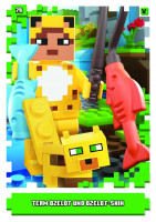 Nummer 079 I Team Ozelot und Ozelot-Skin I LEGO Minecraft TCC 1 Nummer 079 I Team Ozelot und Ozelot-Skin I LEGO Minecraft TCC 1