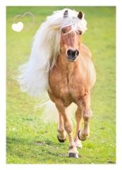 Horse Club Sticker Nummer 166