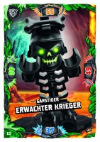 Nummer 062 | Garstiger Erwachter Krieger Nummer 062 | Garstiger Erwachter Krieger