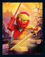 Sticker Nummer 021 I LEGO Ninjago Crystalized Stickerserie