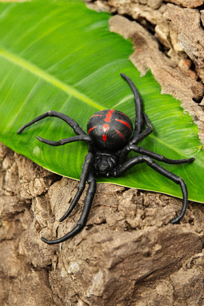 Toxic Creatures-Sammelserie PLANET WOW Südliche Schwarze Witwe