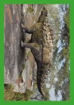 Nummer 086 I DINOSAURIER-Stickerserie