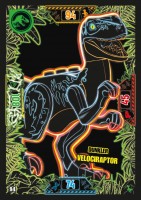 Nummer 094 I Dunkler Velociraptor I LEGO Jurassic World TCG 3 Nummer 094 I Dunkler Velociraptor I LEGO Jurassic World TCG 3