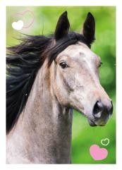 Horse Club Sticker Nummer 126