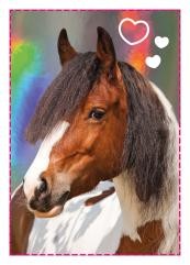 Horse Club Sticker Nummer 173