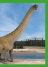 Nummer 135 I DINOSAURIER-Stickerserie