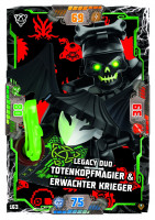 Nummer 163 I Legacy Duo Totenkopfmagier & Erwachter Krieger I LEGO Ninjago TCG 9 Next Level Nummer 163 I Legacy Duo Totenkopfmagier & Erwachter Krieger I LEGO Ninjago TCG 9 Next Level