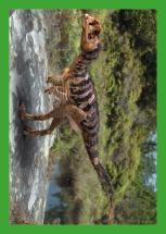 Nummer 067 I DINOSAURIER-Stickerserie