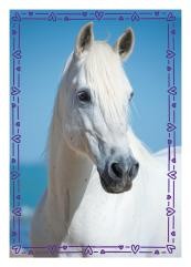 Horse Club Sticker Nummer 39