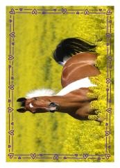 Horse Club Sticker Nummer 109