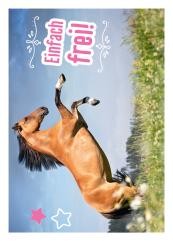 Horse Club Sticker Nummer 100