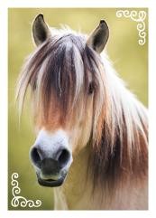Horse Club Sticker Nummer 153