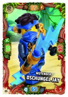 Nummer 023 | Wütender Dschungel Jay Nummer 023 | Wütender Dschungel Jay