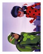 Miraculous Sticker Nummer 062 Miraculous Sticker Nummer 062