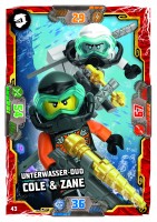 Nummer 043 | Unterwasser-Duo Cole & Zane Nummer 043 | Unterwasser-Duo Cole & Zane