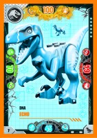 Nummer 007 I DNA Echo Nummer 007 I DNA Echo