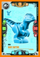 Nummer 078 I DNA Baby Raptor Nummer 078 I DNA Baby Raptor