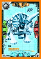 Nummer 063 I DNA Triceratops Nummer 063 I DNA Triceratops
