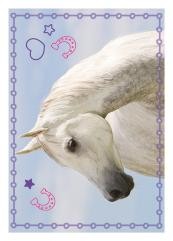 Horse Club Sticker Nummer 13