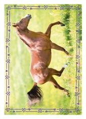 Horse Club Sticker Nummer 99