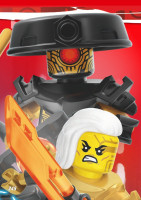 Nummer 245 I Puzzle Ninja vs. Imperium 2 I LEGO Ninjago TCG 9 Nummer 245 I Puzzle Ninja vs. Imperium 2 I LEGO Ninjago TCG 9