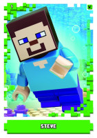 Nummer 001 I Steve I LEGO Minecraft TCC 1 Nummer 001 I Steve I LEGO Minecraft TCC 1
