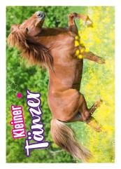 Horse Club Sticker Nummer 149