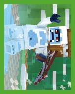 Nummer 0080 I LEGO® Minecraft Sticker